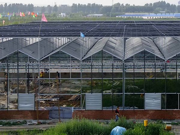 陽(yáng)光板溫室建造